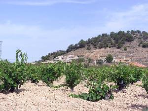 Cabezo de la Alcoba y Casas 