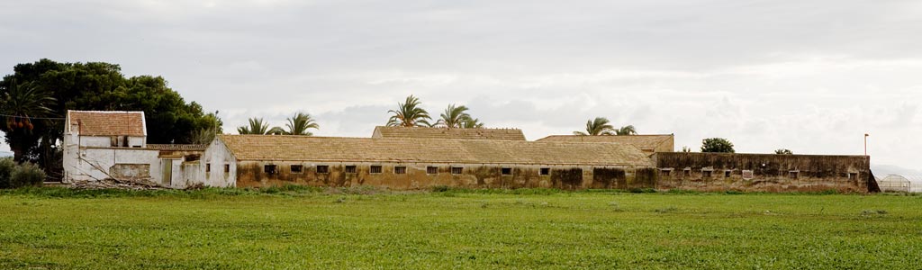 Pozo Aledo Pozo Aledo