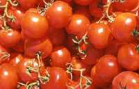 tomates de Mazarr�n