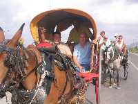 Semana Internacional de la Huerta y el Mar