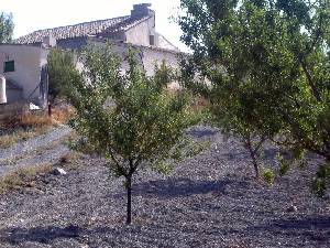 Caser�o Los P�rez 