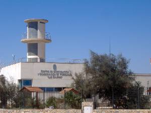 Centro de Conservaci�n e Investigaci�n 